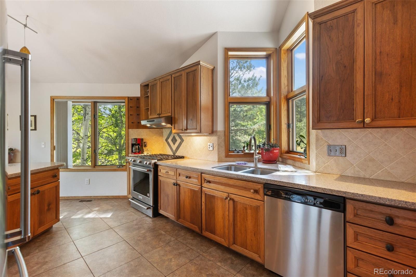 MLS Image #9 for 945  sun valley drive,woodland park, Colorado
