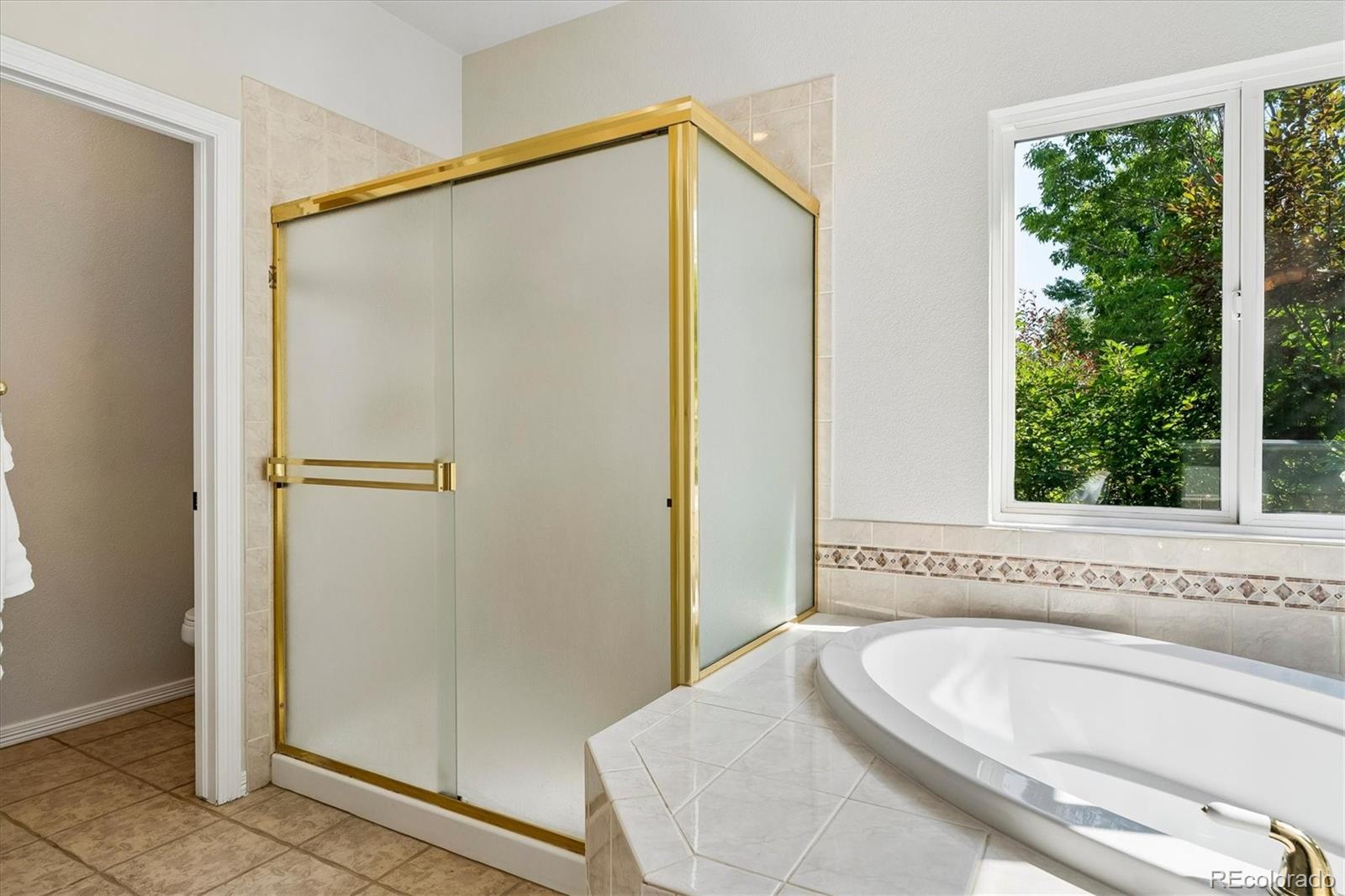 MLS Image #20 for 11022  independence circle,parker, Colorado
