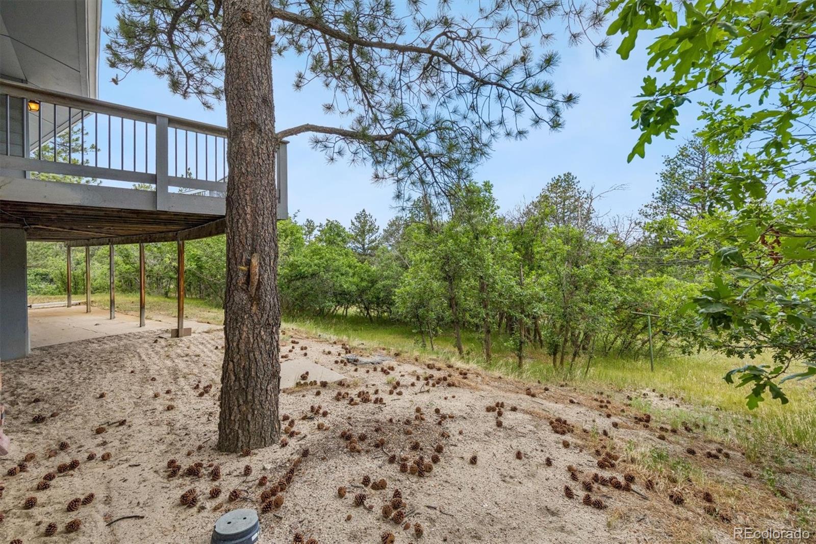 MLS Image #4 for 5781 n lariat drive,castle rock, Colorado