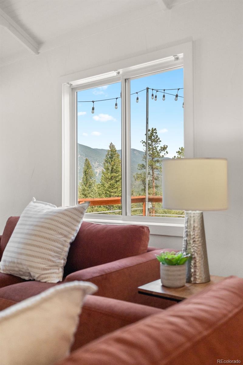 MLS Image #10 for 34096  columbine circle,evergreen, Colorado