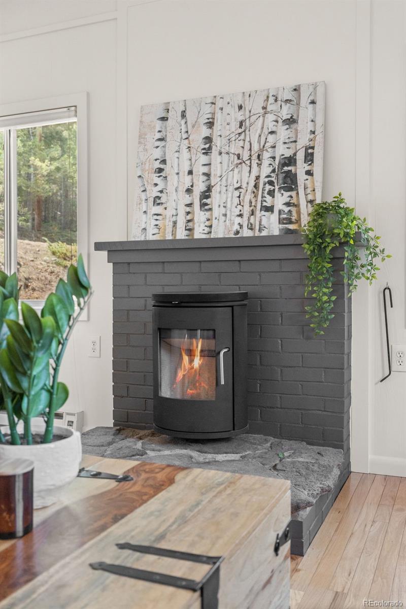 MLS Image #11 for 34096  columbine circle,evergreen, Colorado