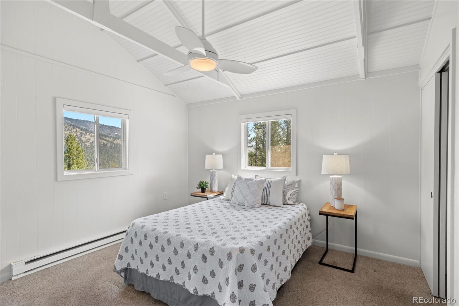 MLS Image #18 for 34096  columbine circle,evergreen, Colorado