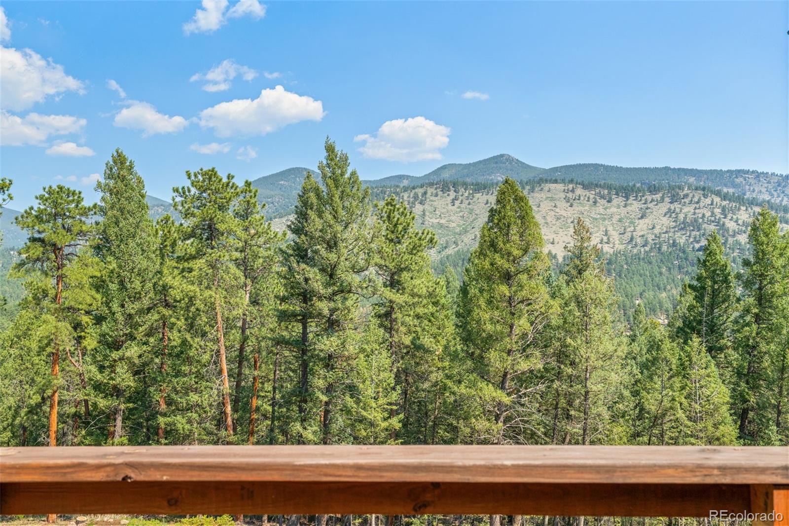 MLS Image #29 for 34096  columbine circle,evergreen, Colorado