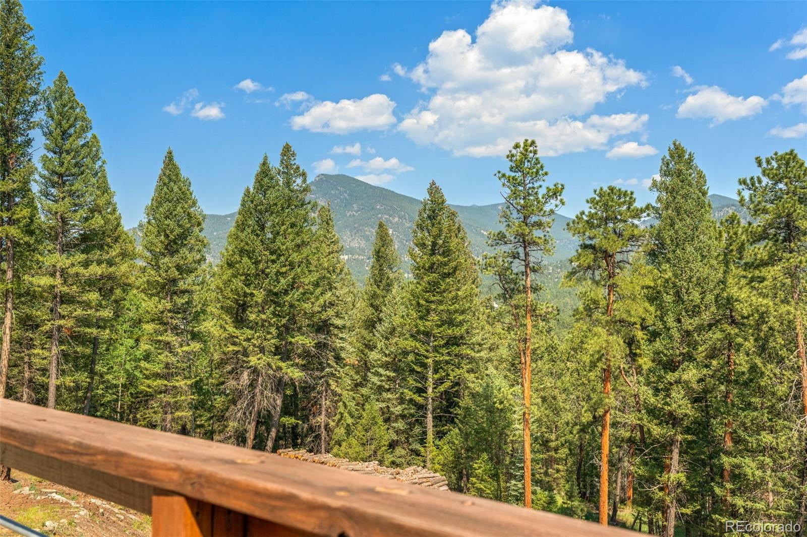 MLS Image #30 for 34096  columbine circle,evergreen, Colorado