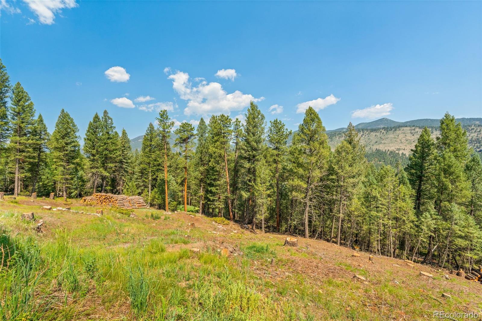 MLS Image #35 for 34096  columbine circle,evergreen, Colorado