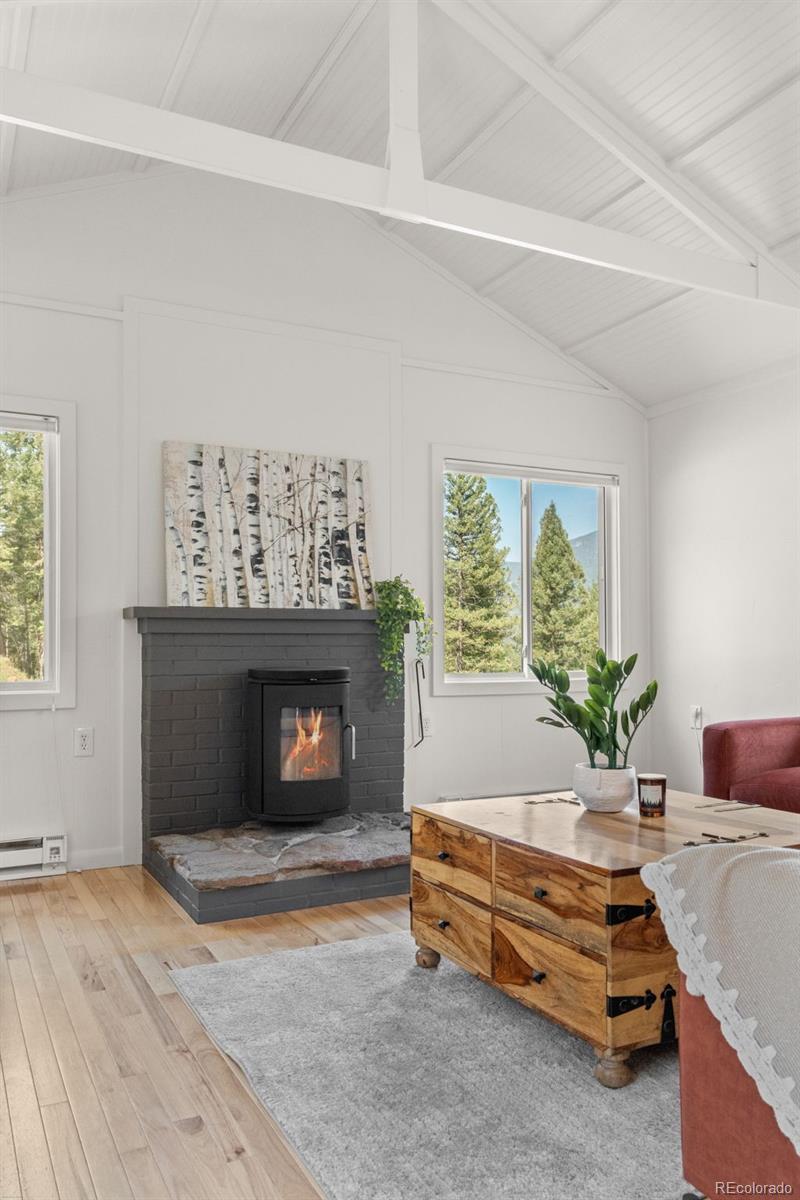 MLS Image #9 for 34096  columbine circle,evergreen, Colorado