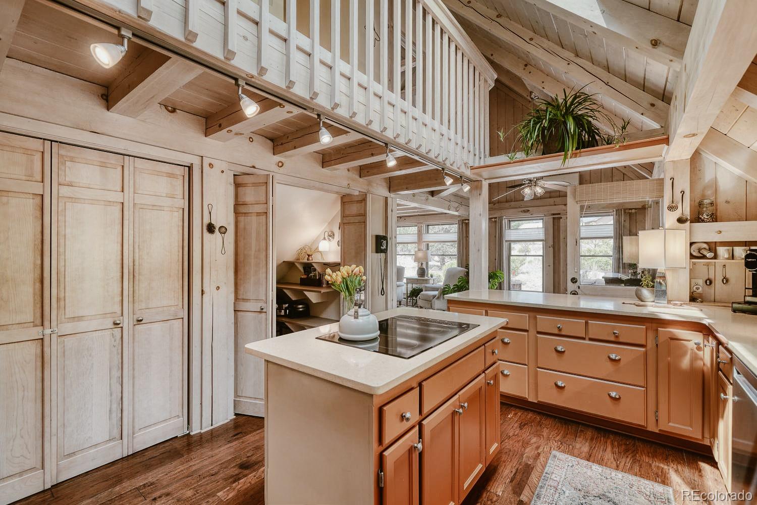 MLS Image #14 for 13535  county road 261c ,nathrop, Colorado