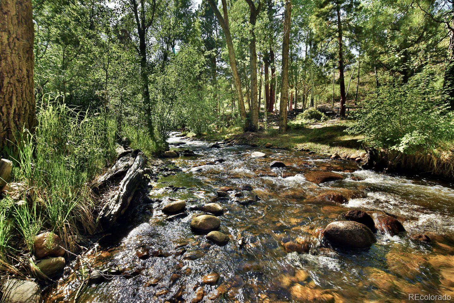 MLS Image #2 for 13535  county road 261c ,nathrop, Colorado