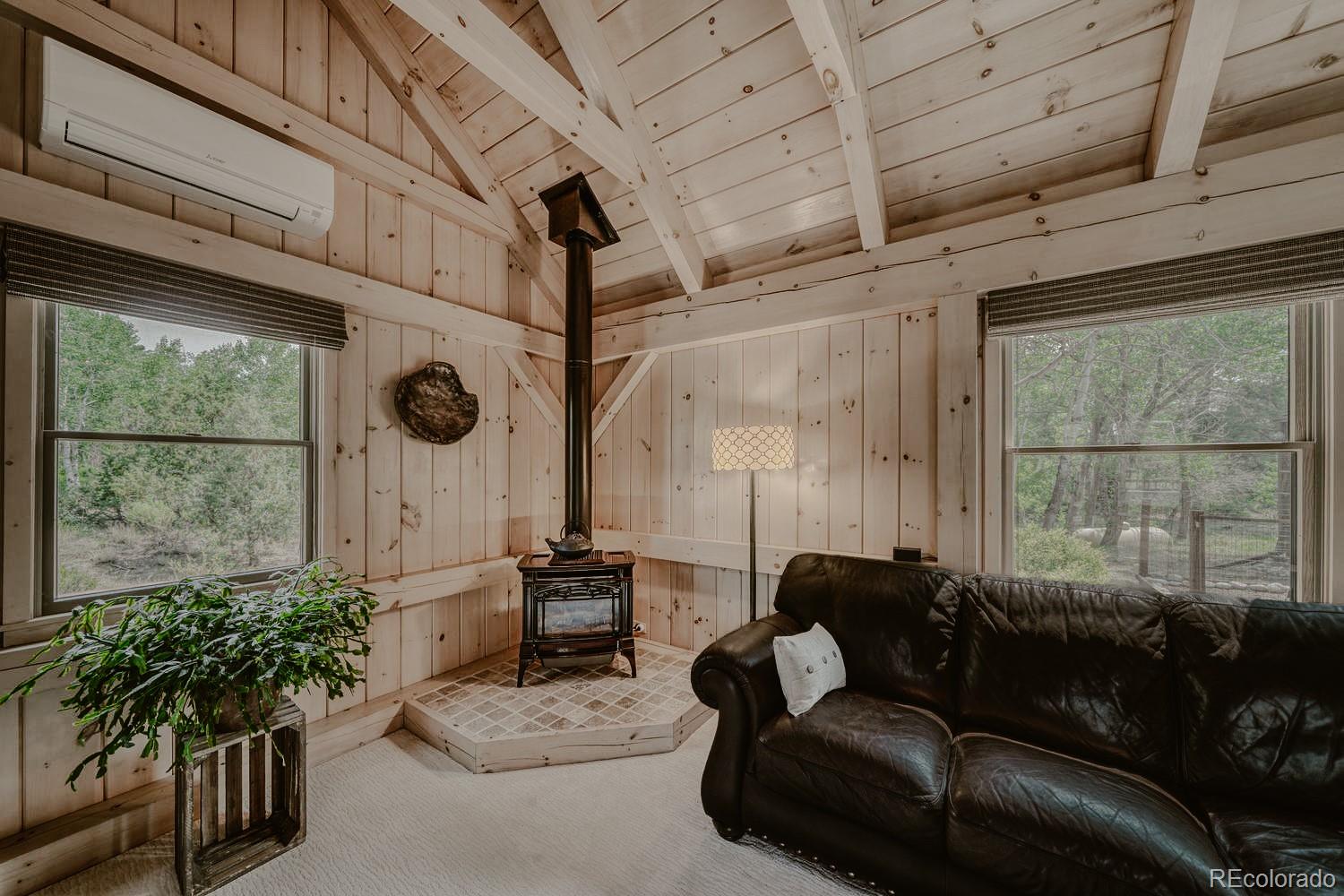 MLS Image #20 for 13535  county road 261c ,nathrop, Colorado
