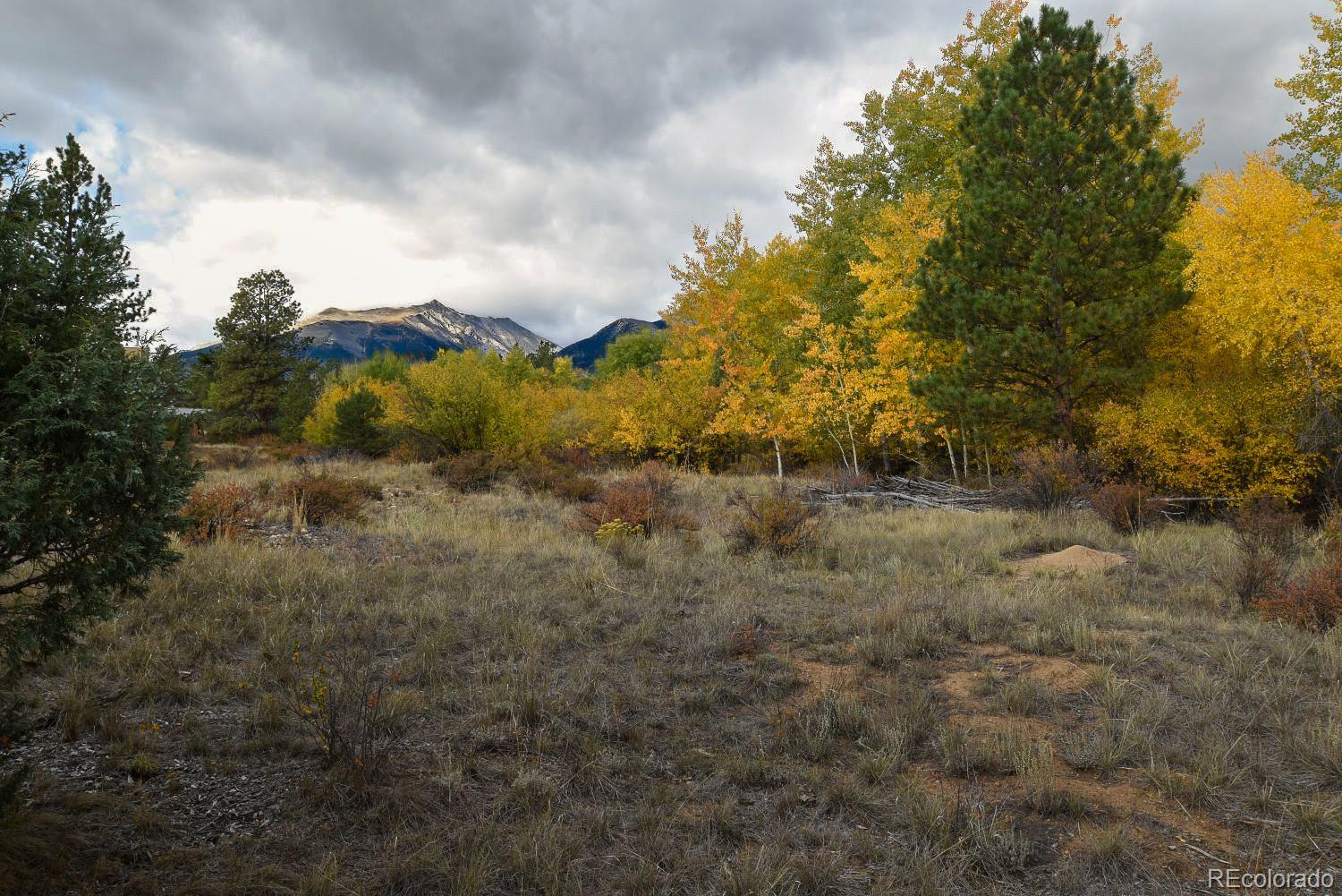 MLS Image #40 for 13535  county road 261c ,nathrop, Colorado