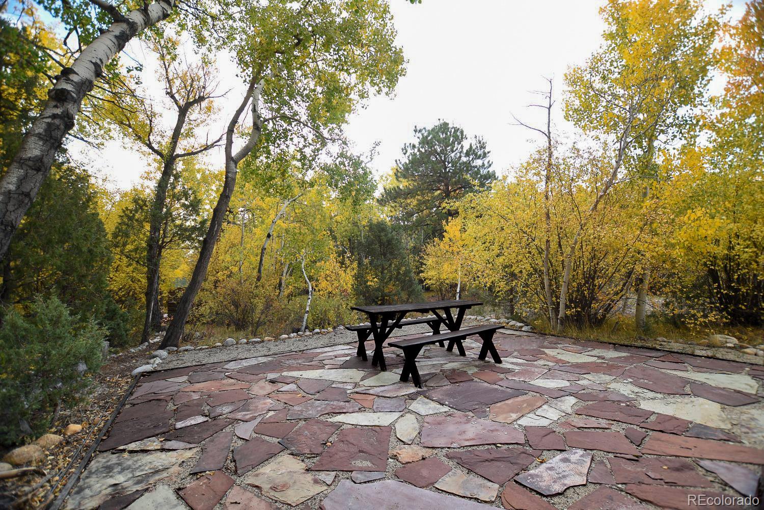 MLS Image #41 for 13535  county road 261c ,nathrop, Colorado