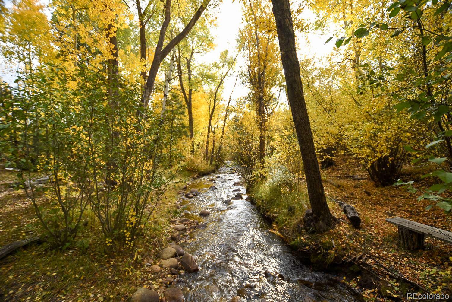 MLS Image #43 for 13535  county road 261c ,nathrop, Colorado