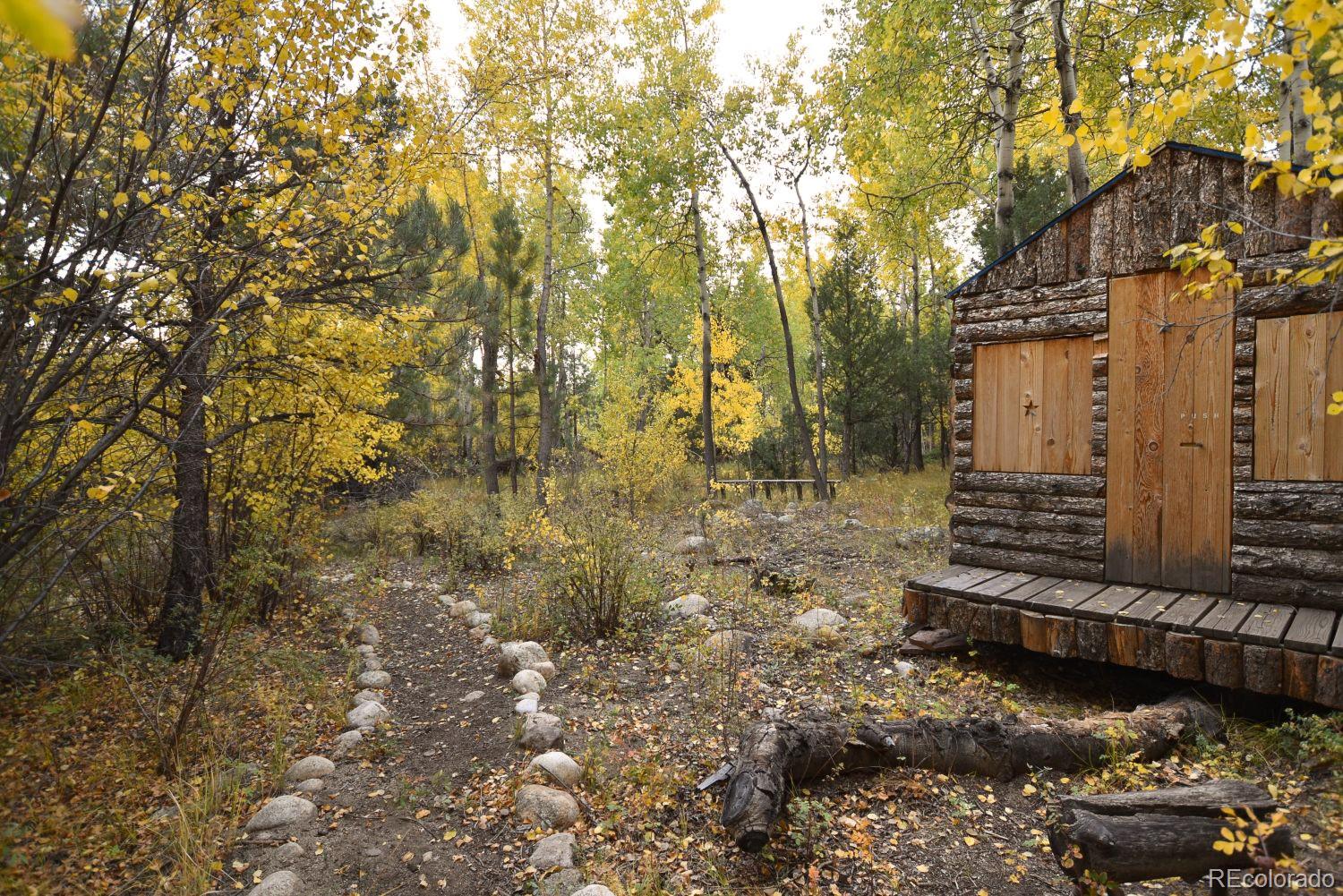 MLS Image #44 for 13535  county road 261c ,nathrop, Colorado