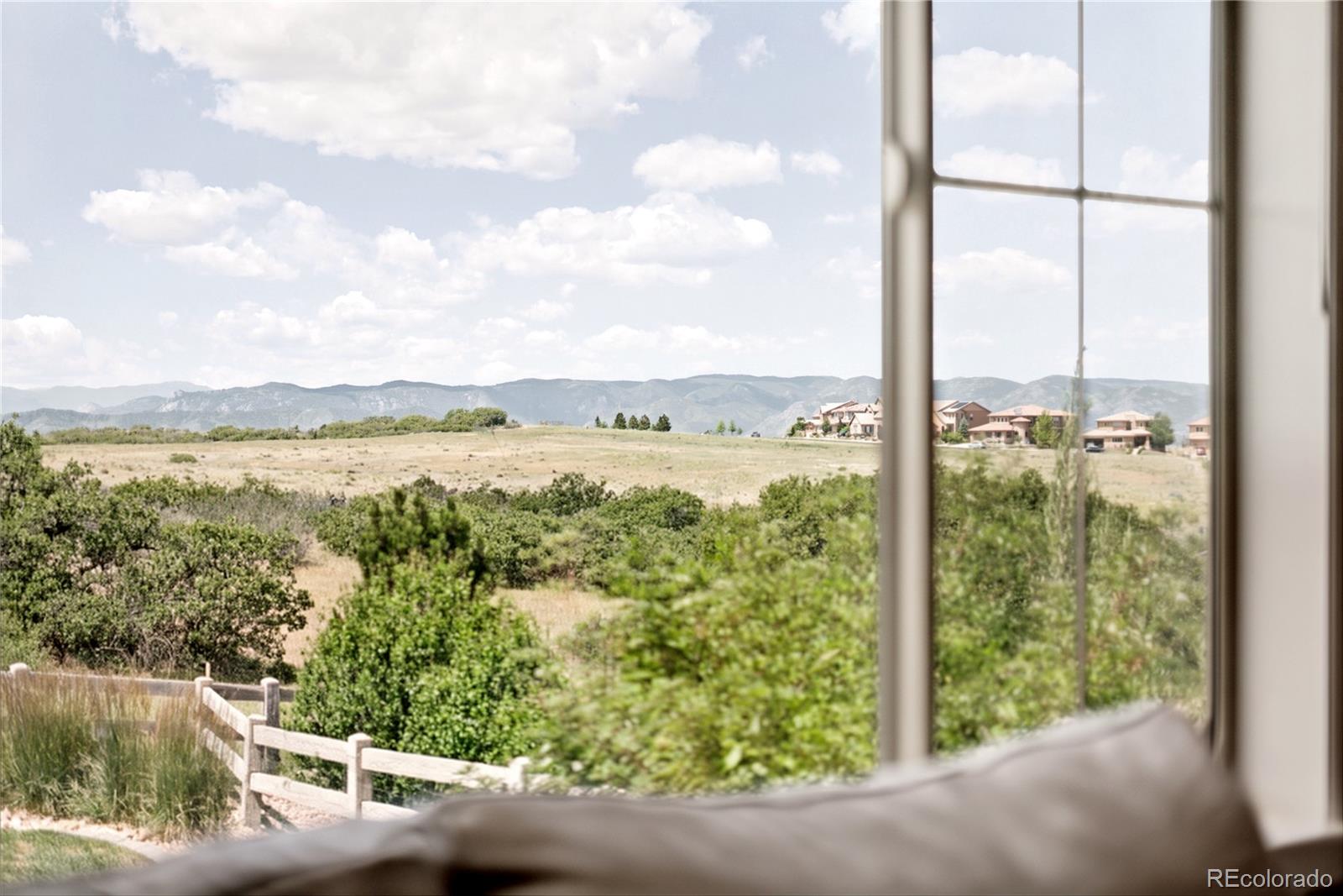 MLS Image #16 for 10879  red sun court,highlands ranch, Colorado