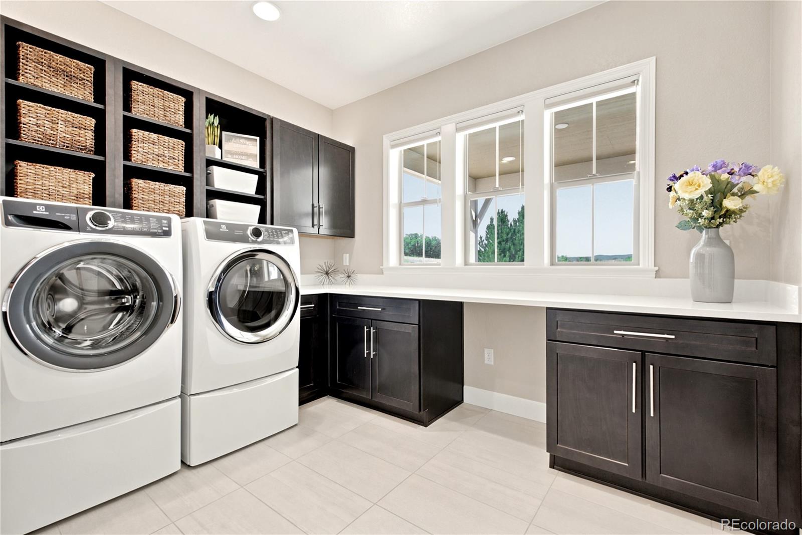 MLS Image #18 for 10879  red sun court,highlands ranch, Colorado
