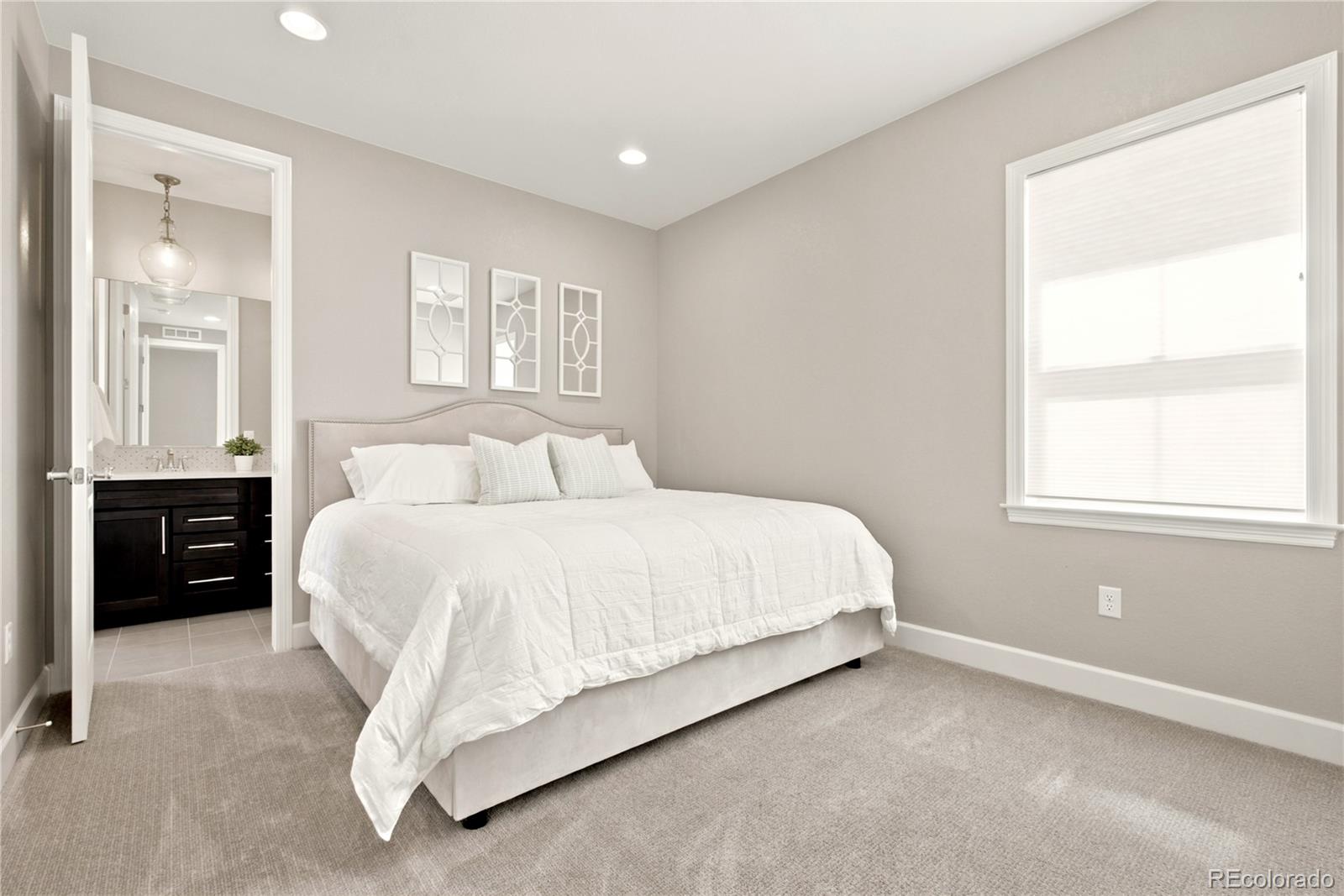 MLS Image #34 for 10879  red sun court,highlands ranch, Colorado