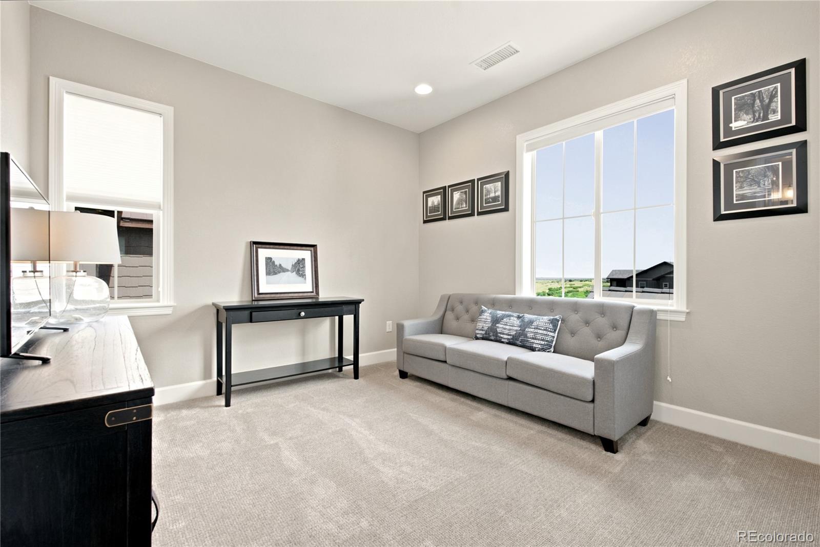 MLS Image #37 for 10879  red sun court,highlands ranch, Colorado