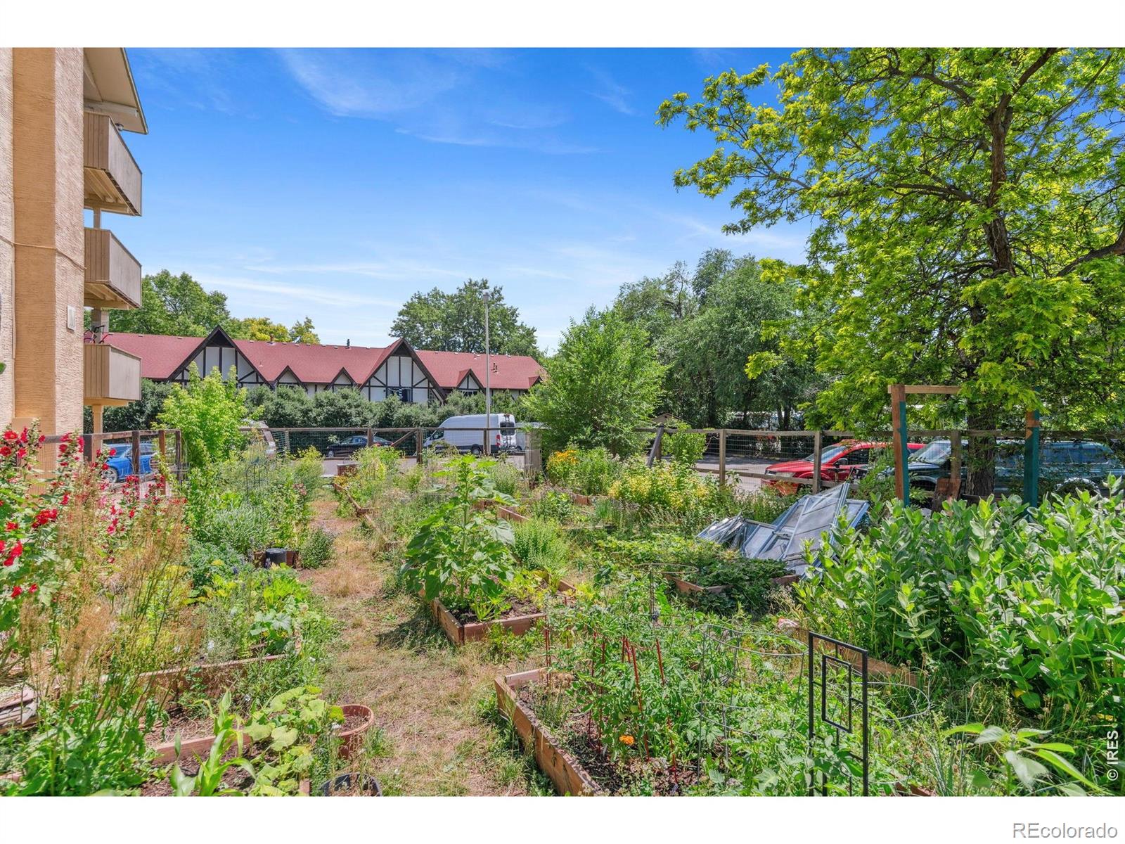 MLS Image #40 for 3035  oneal parkway,boulder, Colorado