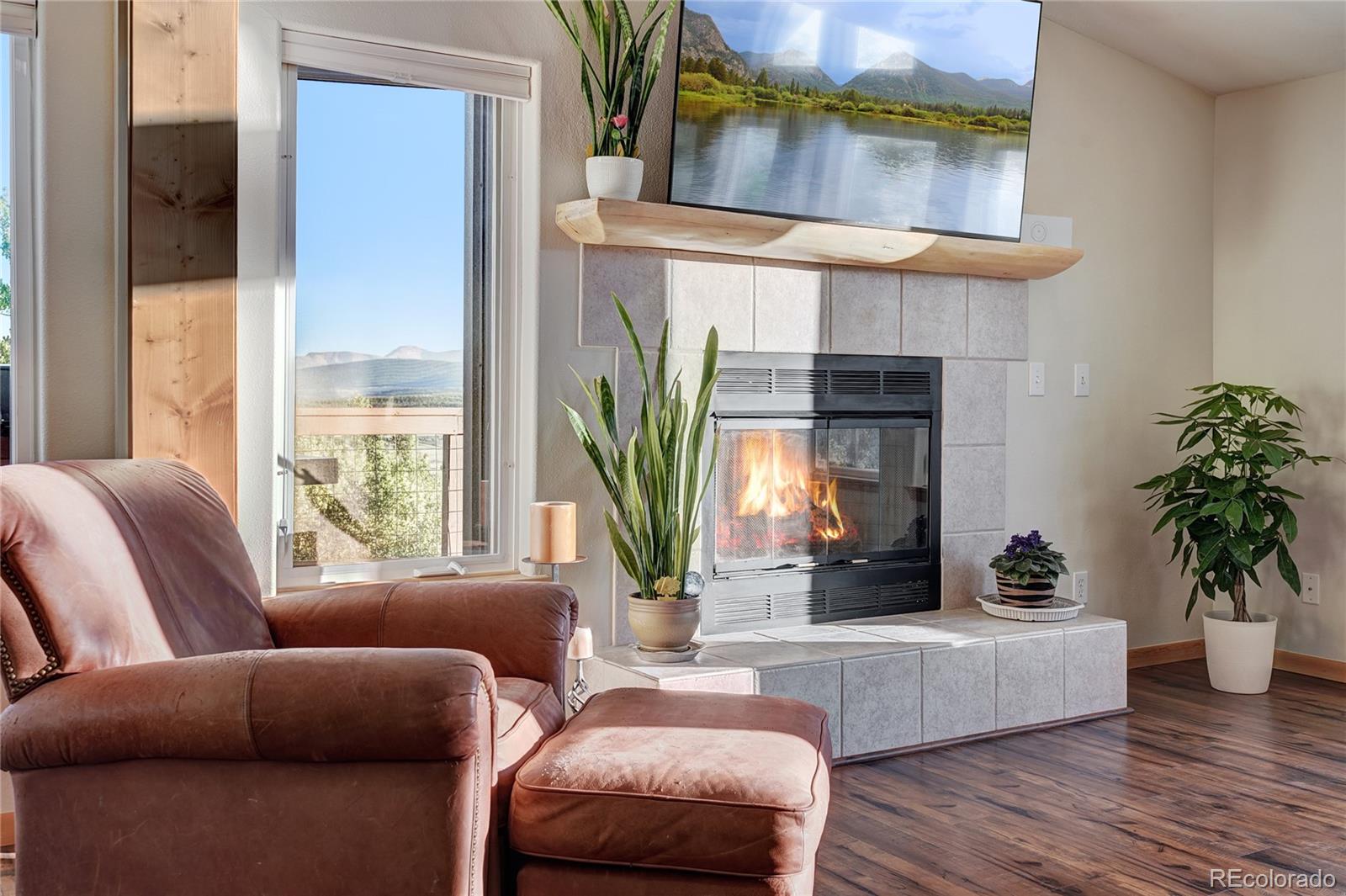 MLS Image #10 for 1243  platte river drive,alma, Colorado