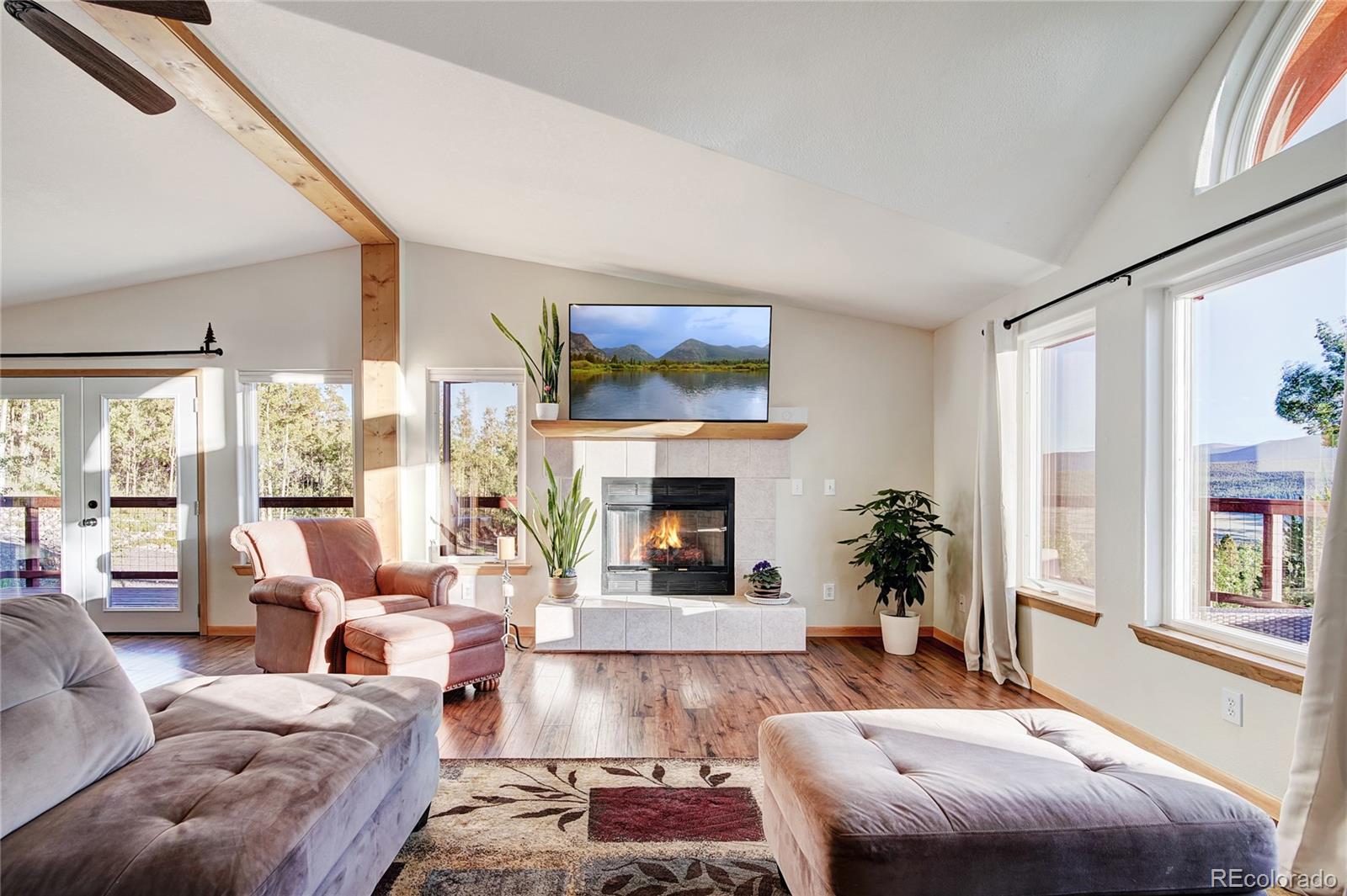 MLS Image #11 for 1243  platte river drive,alma, Colorado