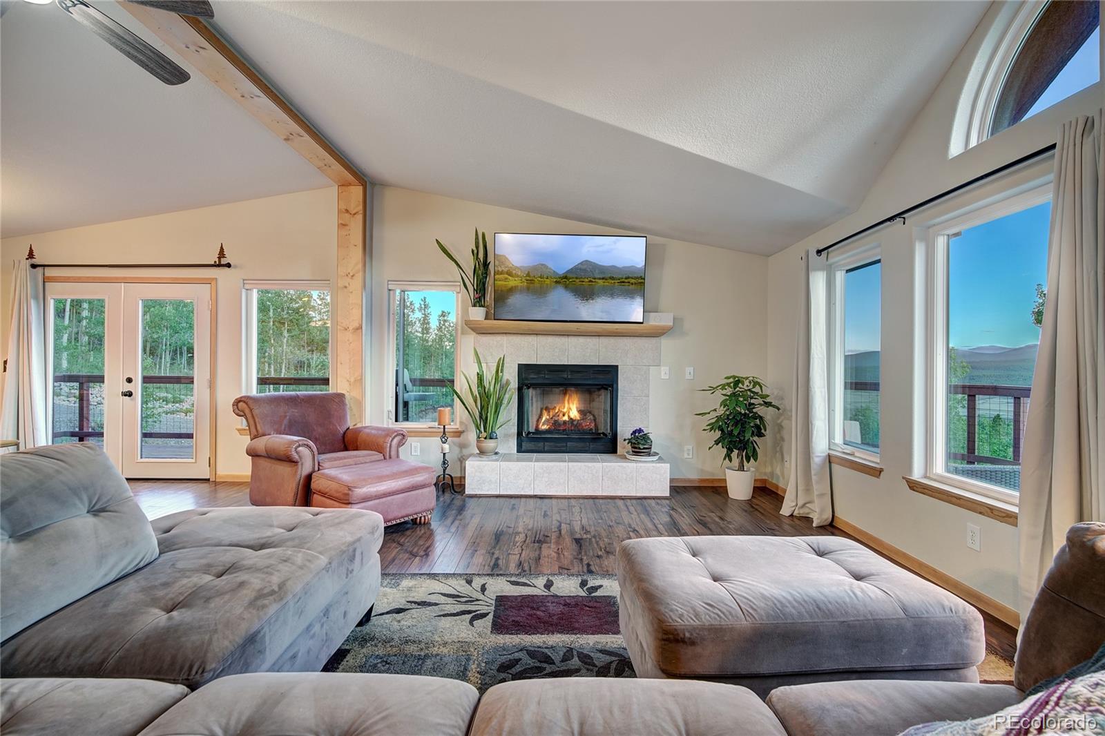 MLS Image #12 for 1243  platte river drive,alma, Colorado