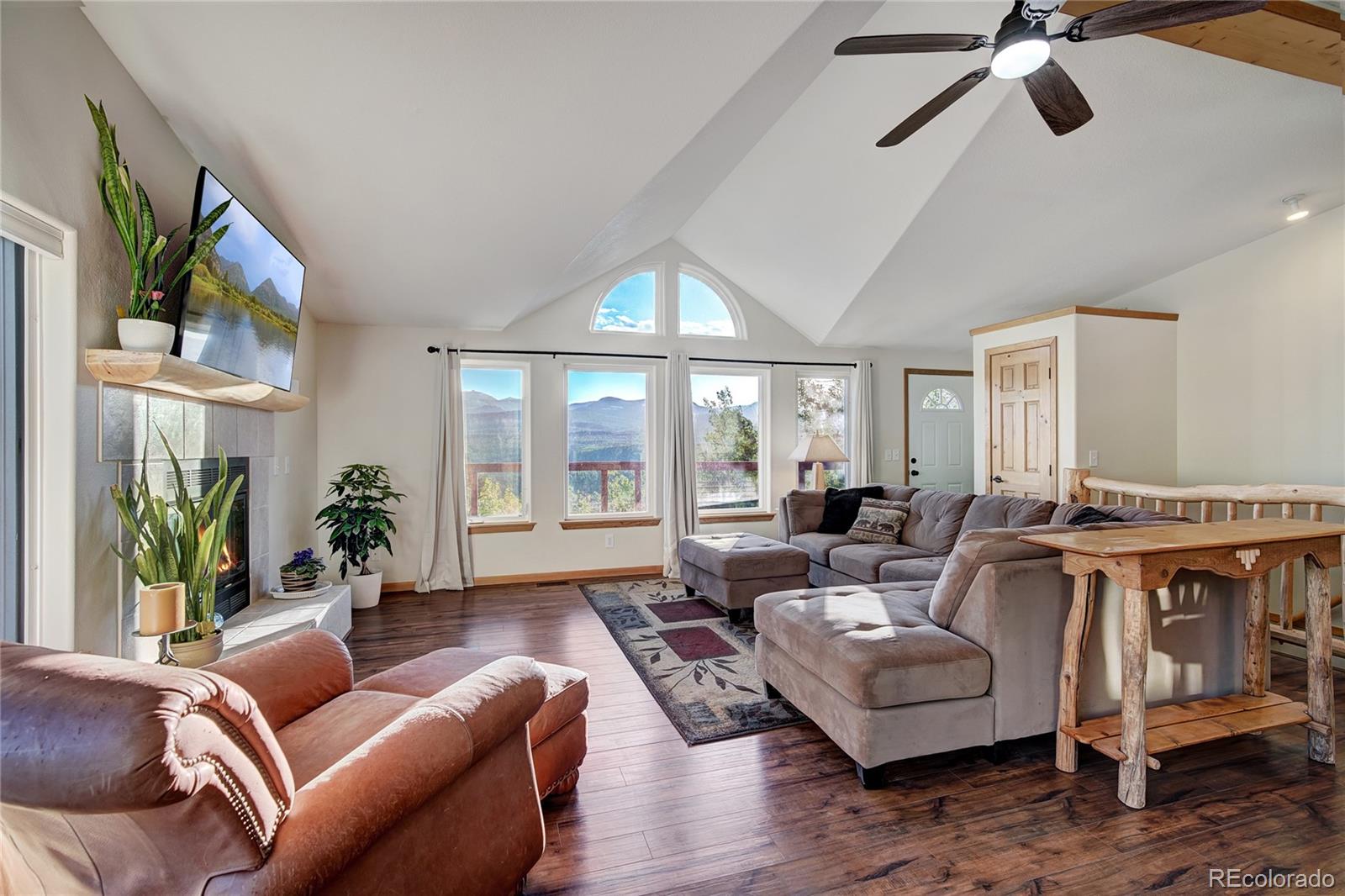 MLS Image #13 for 1243  platte river drive,alma, Colorado