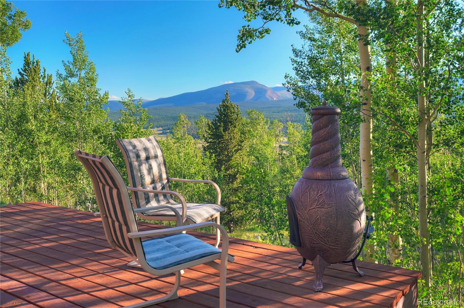 MLS Image #21 for 1243  platte river drive,alma, Colorado