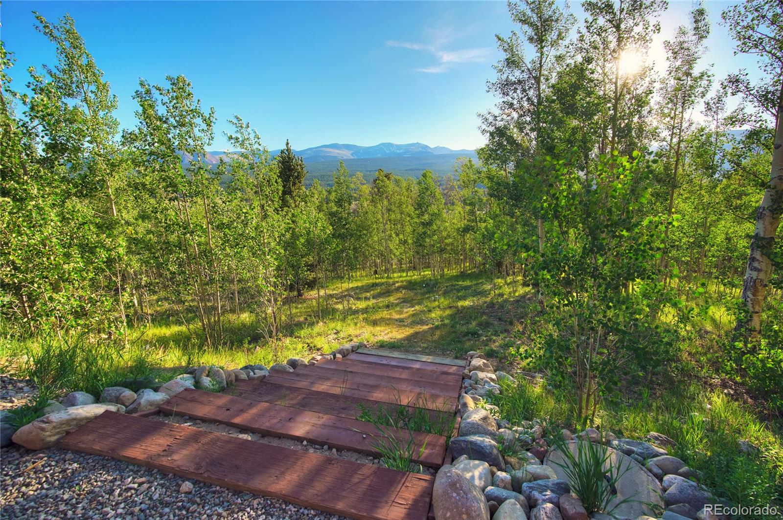 MLS Image #22 for 1243  platte river drive,alma, Colorado