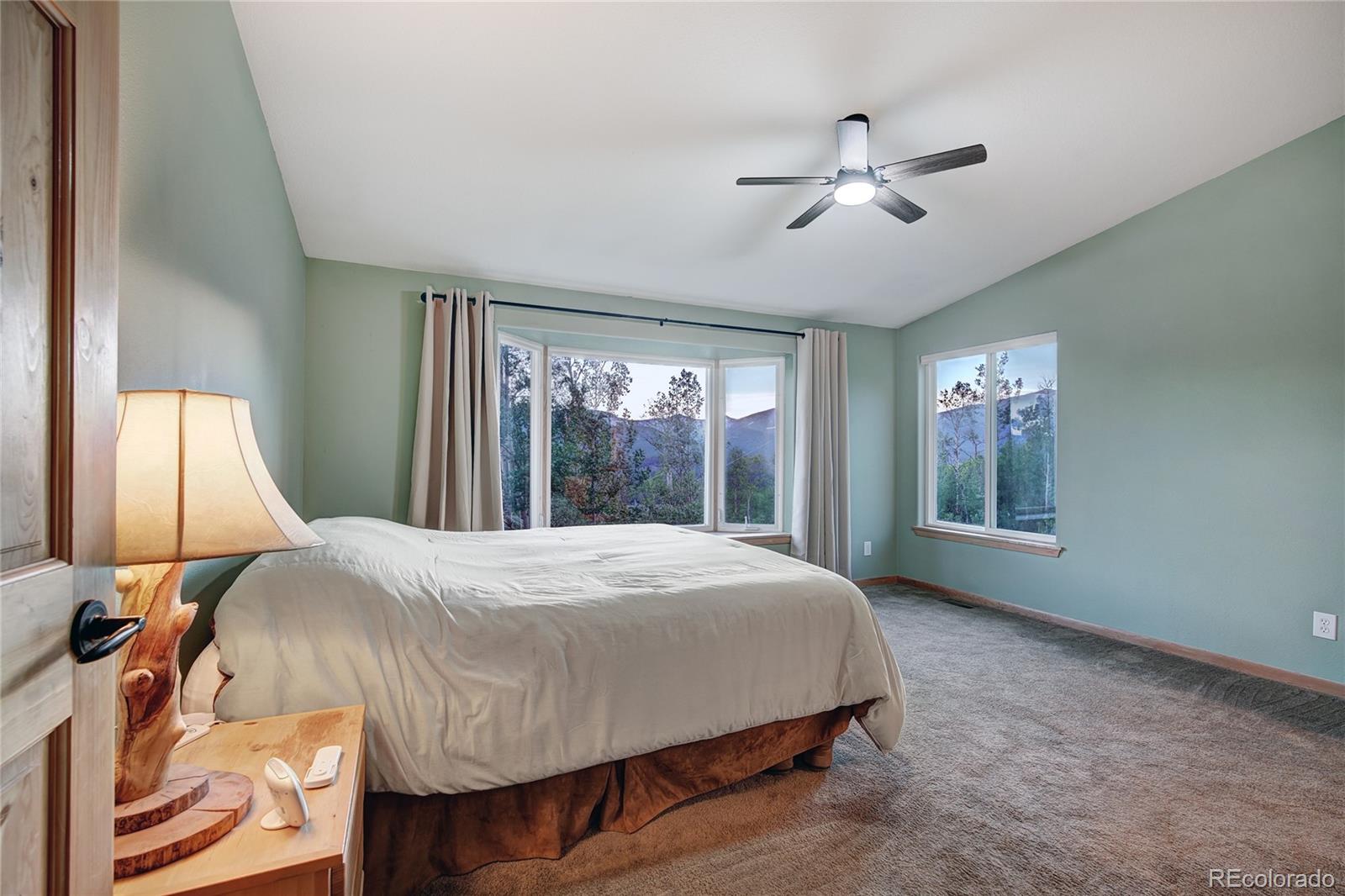 MLS Image #24 for 1243  platte river drive,alma, Colorado