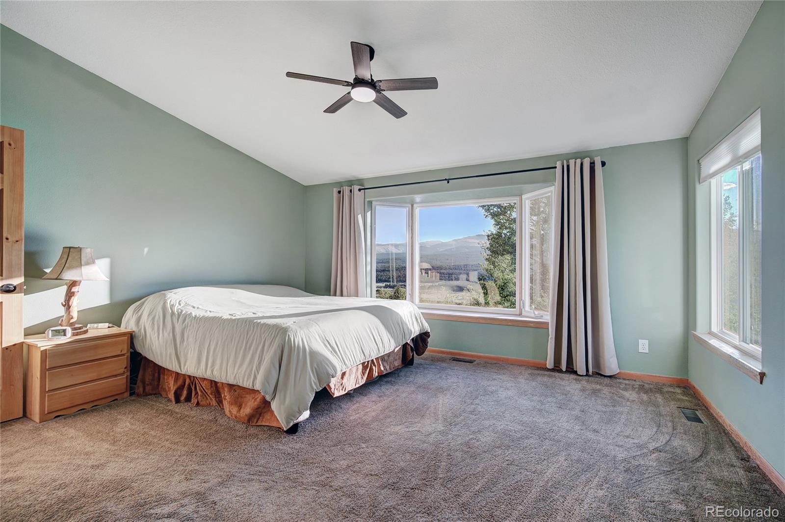 MLS Image #26 for 1243  platte river drive,alma, Colorado