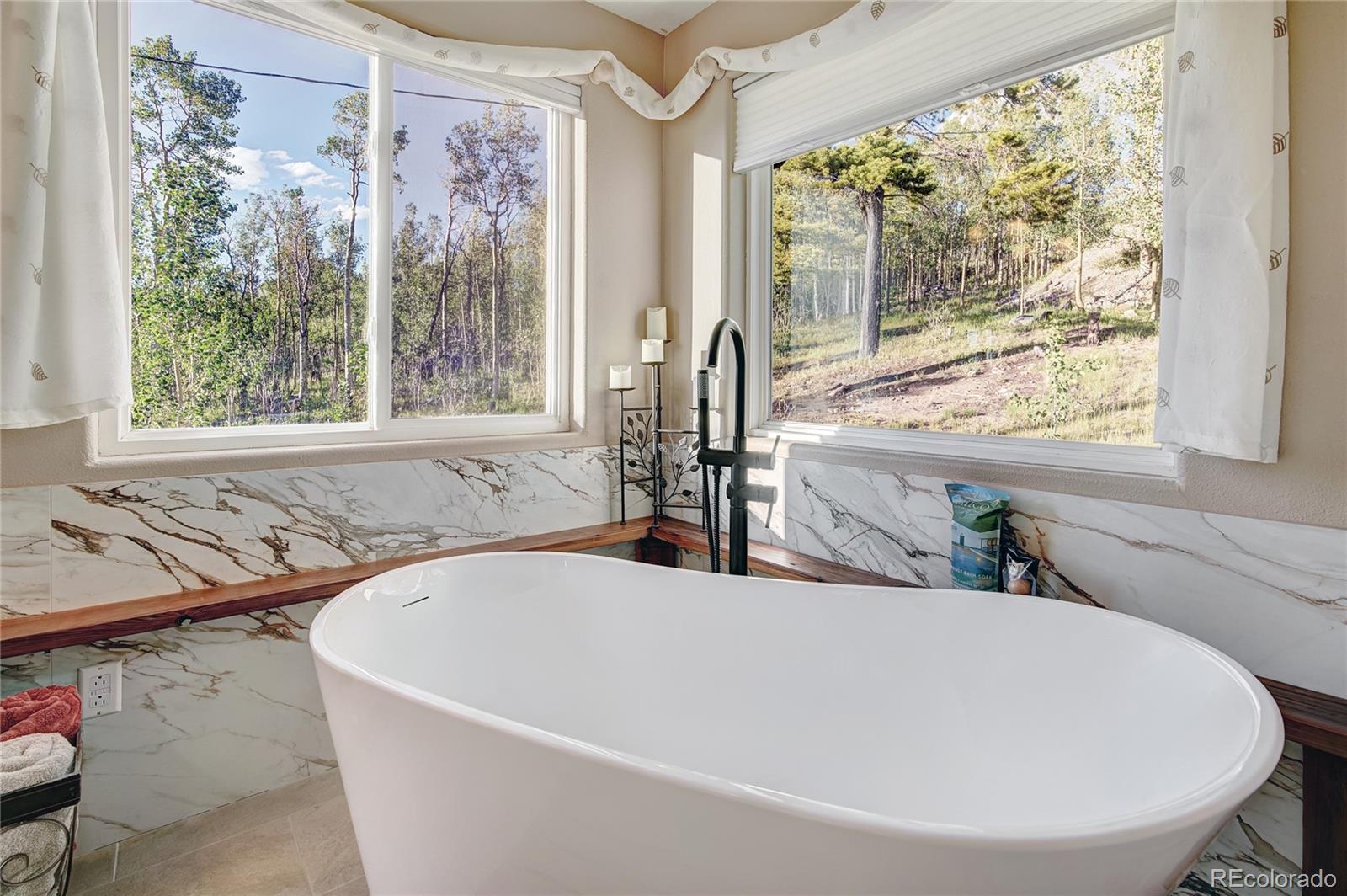 MLS Image #28 for 1243  platte river drive,alma, Colorado