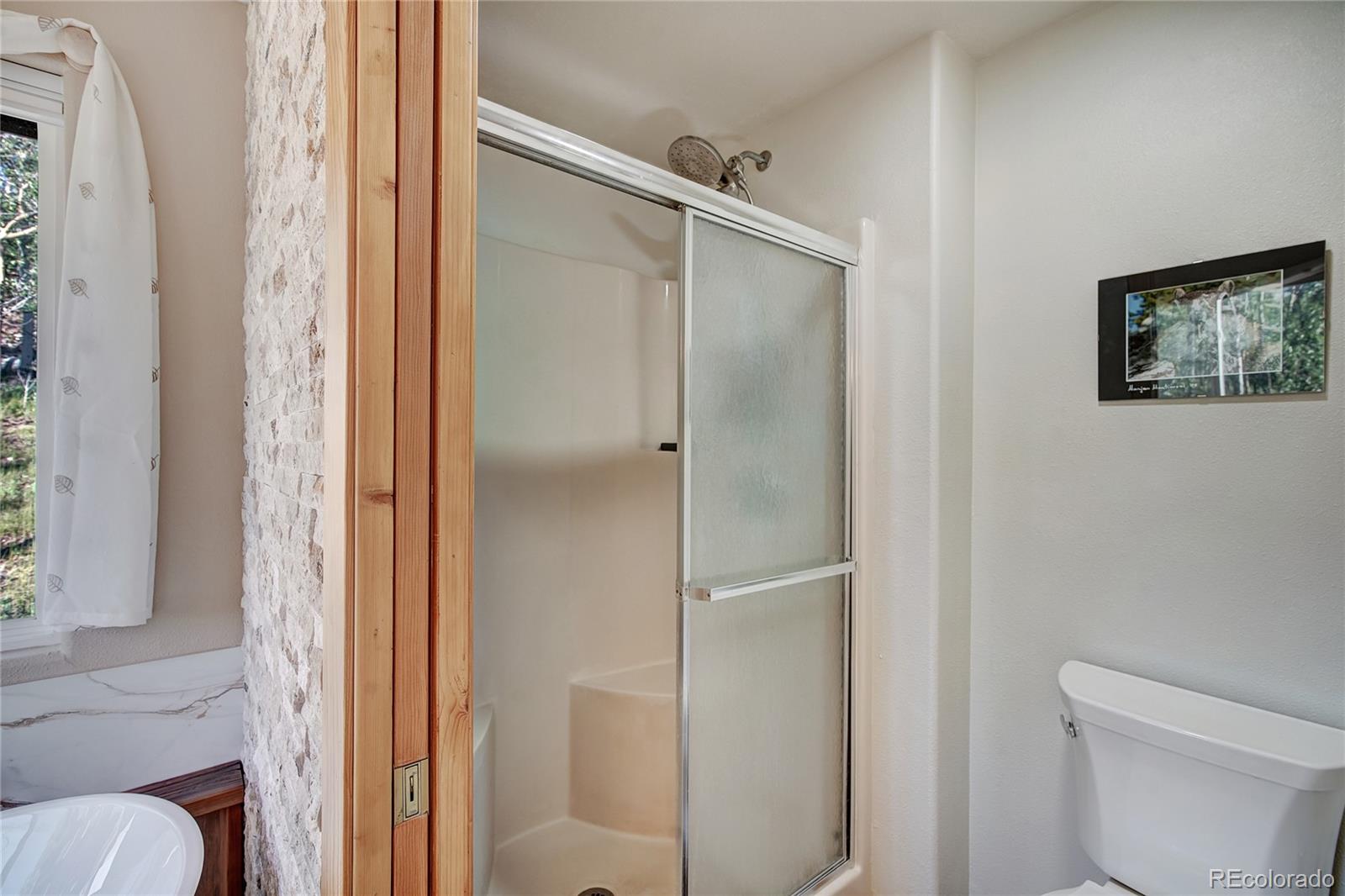 MLS Image #29 for 1243  platte river drive,alma, Colorado