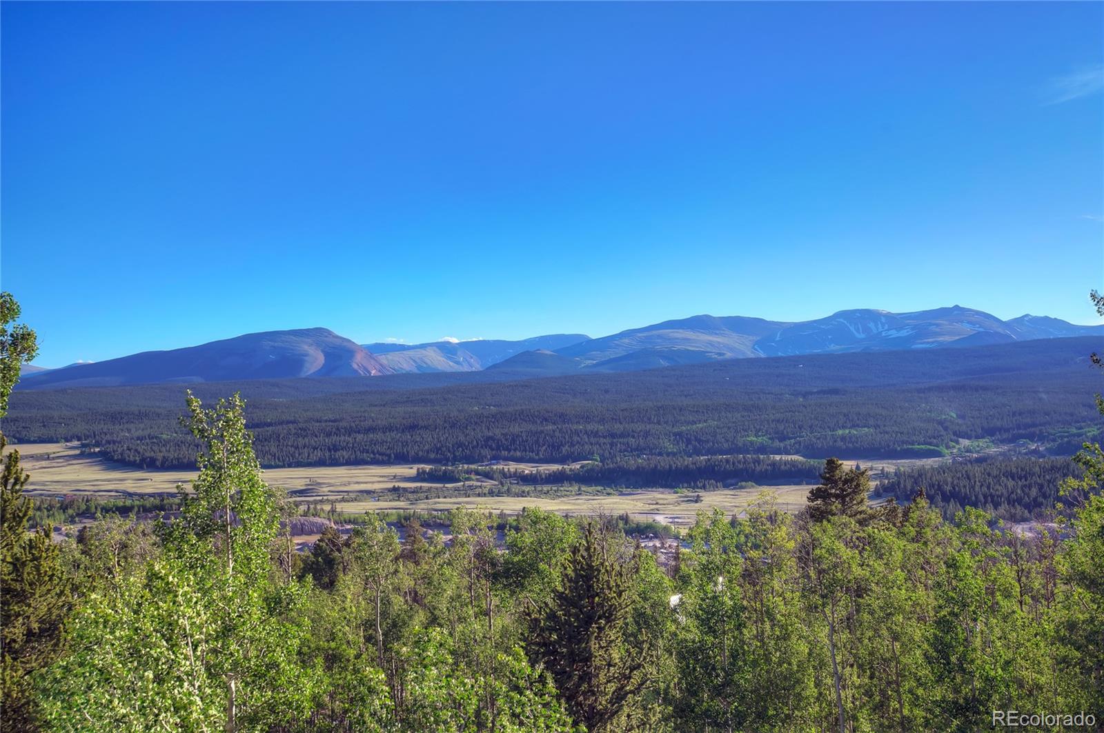 MLS Image #30 for 1243  platte river drive,alma, Colorado