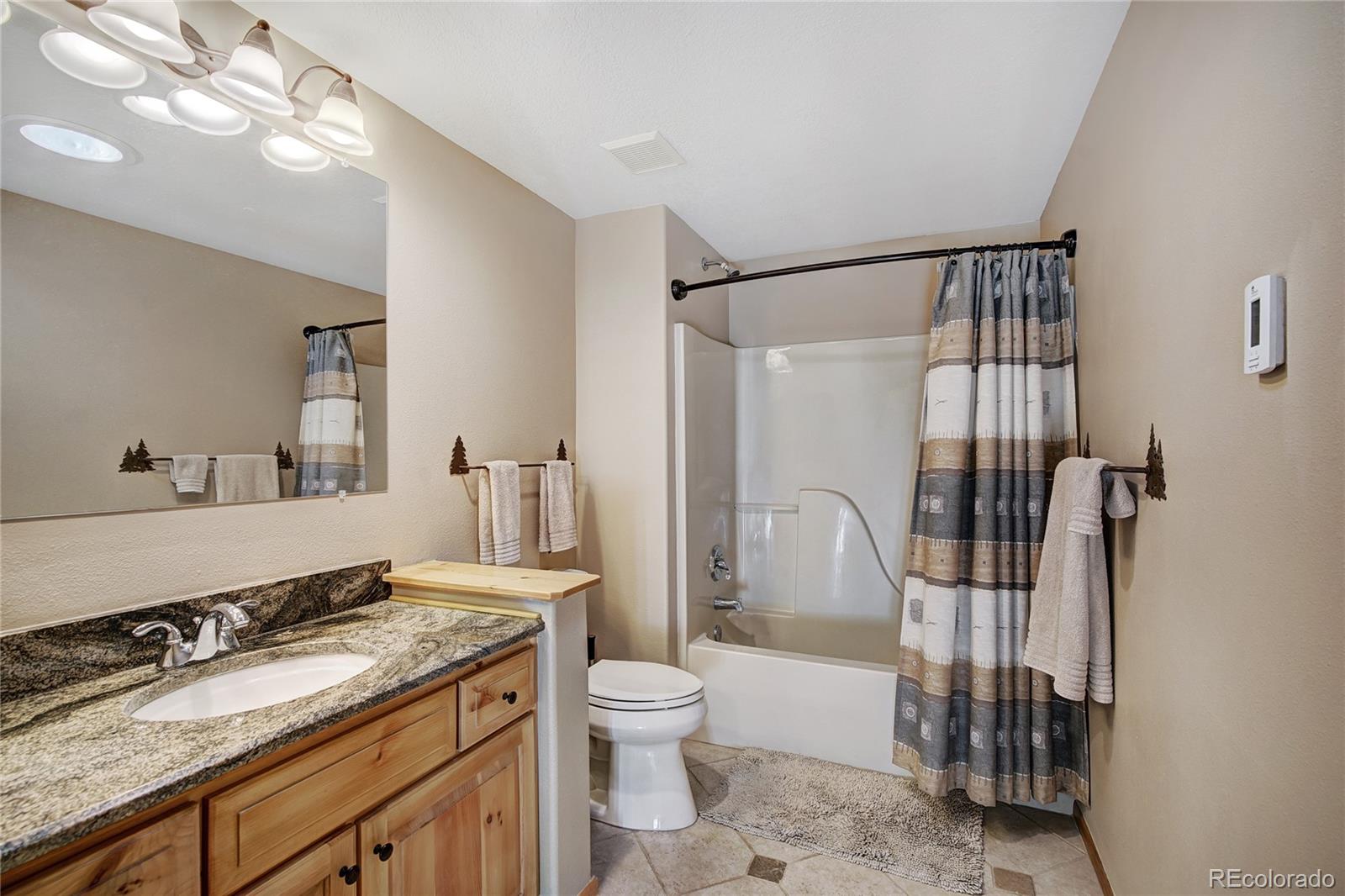 MLS Image #33 for 1243  platte river drive,alma, Colorado