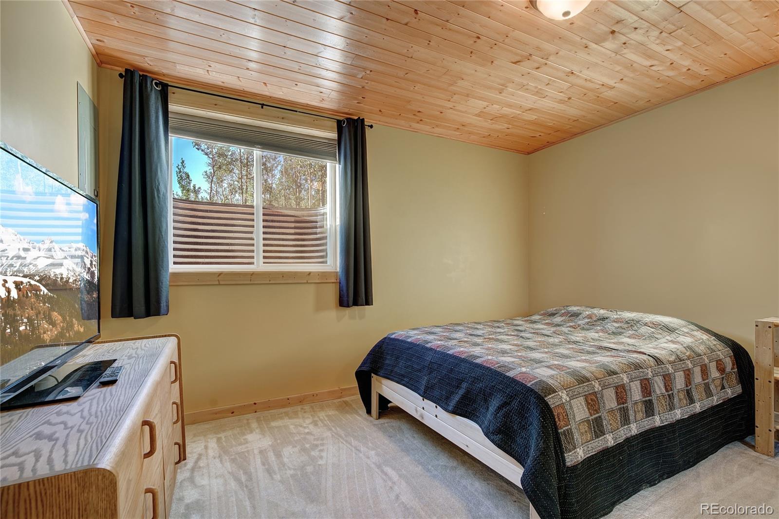 MLS Image #41 for 1243  platte river drive,alma, Colorado