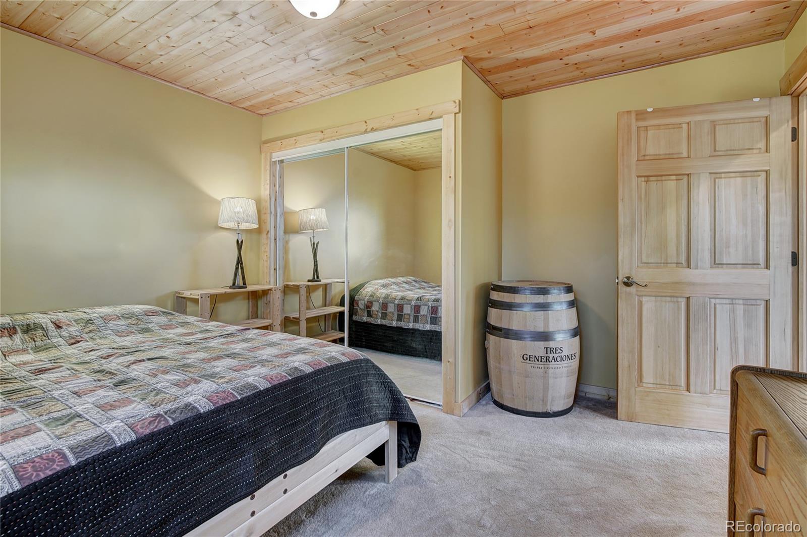 MLS Image #42 for 1243  platte river drive,alma, Colorado
