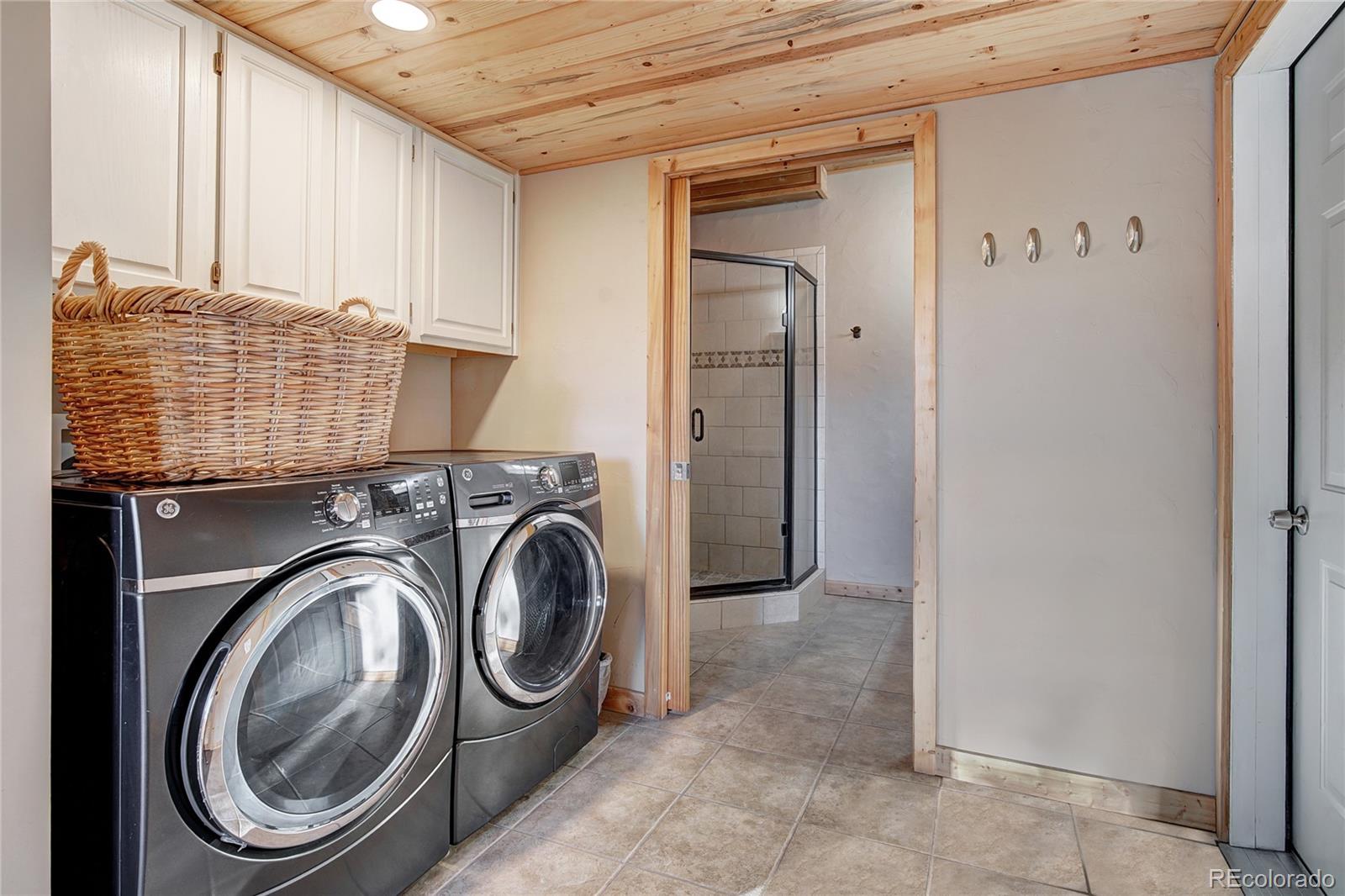 MLS Image #44 for 1243  platte river drive,alma, Colorado