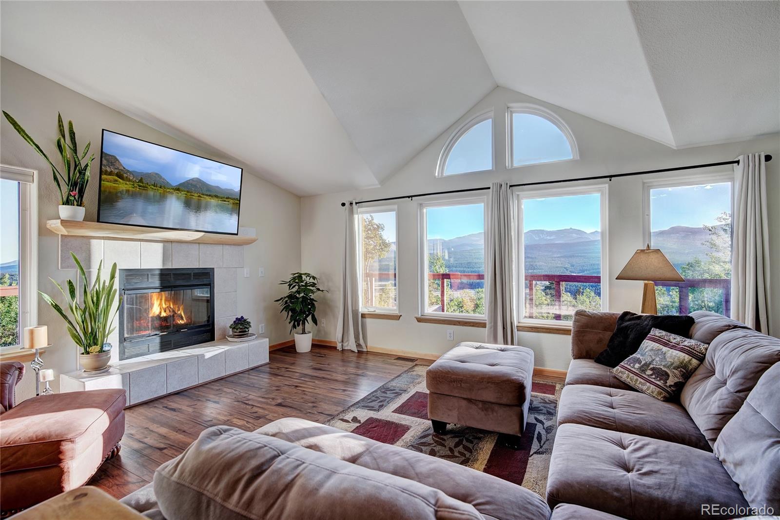 MLS Image #8 for 1243  platte river drive,alma, Colorado