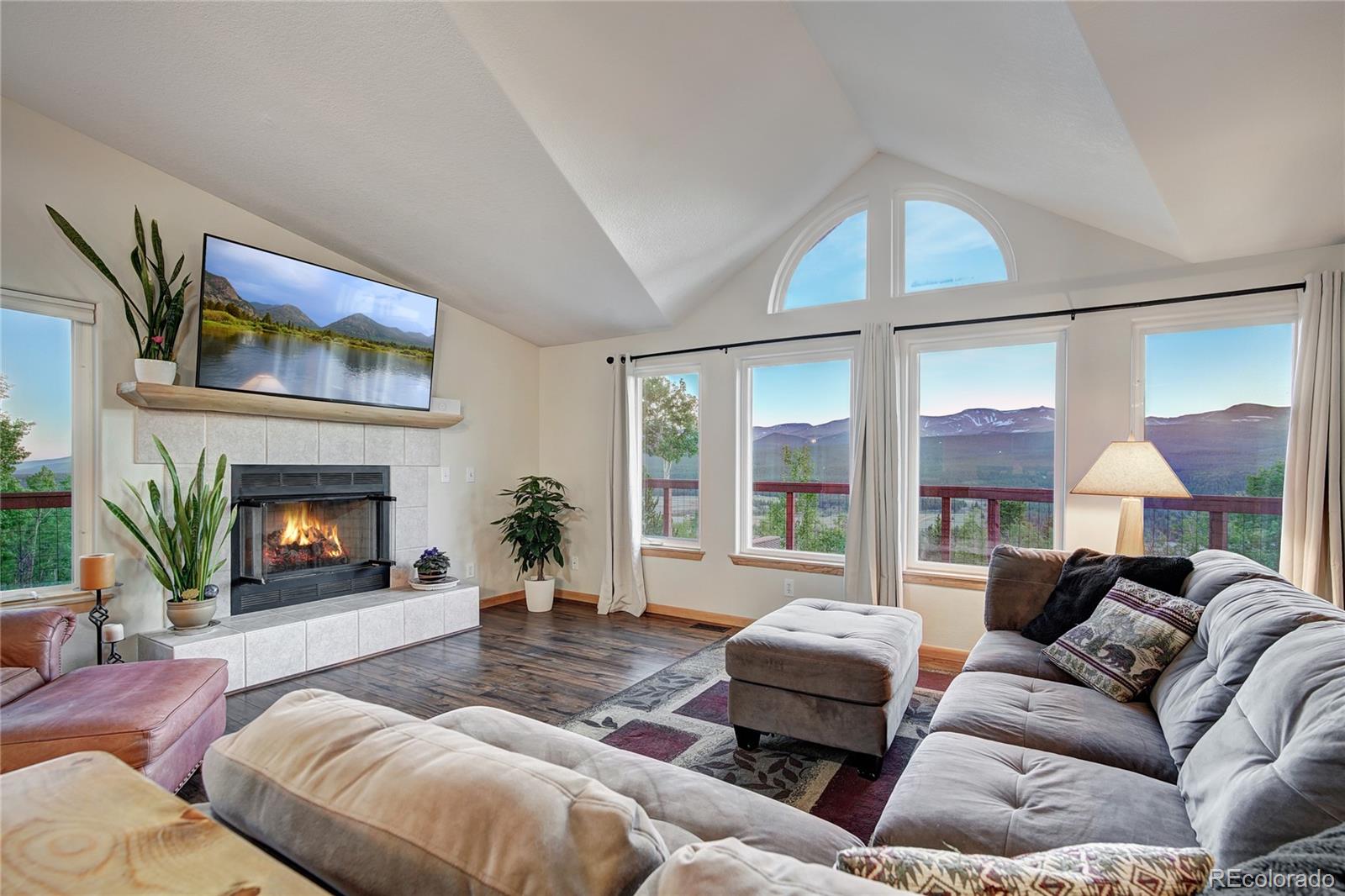 MLS Image #9 for 1243  platte river drive,alma, Colorado