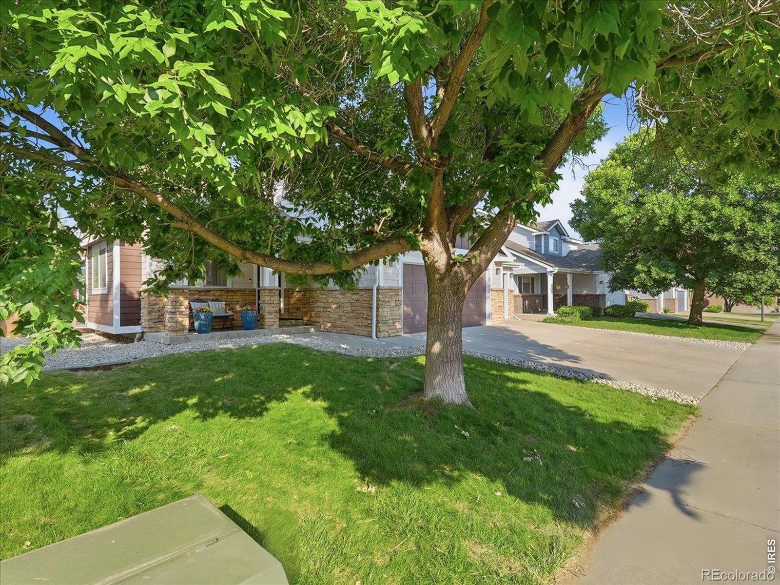 MLS Image #4 for 455  lyra place,loveland, Colorado