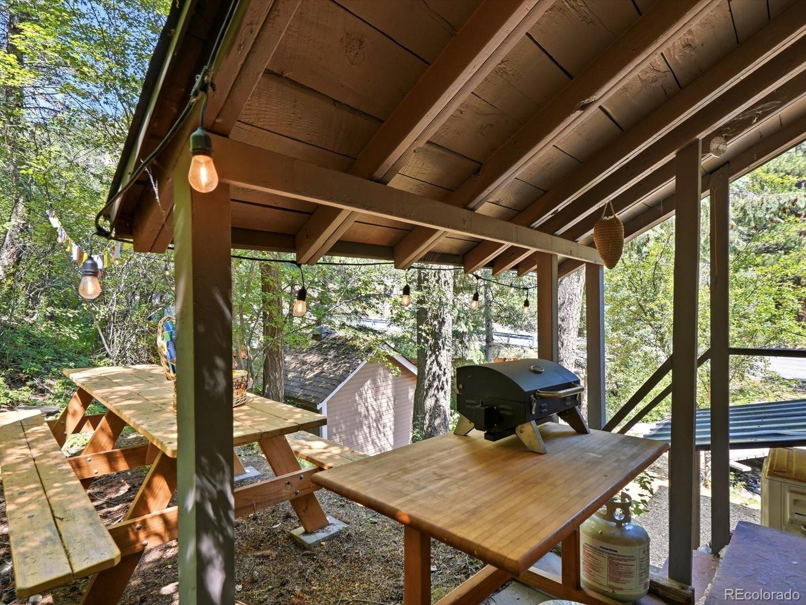 MLS Image #38 for 20304 n turkey creek road,morrison, Colorado