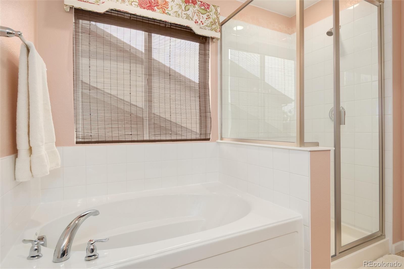 MLS Image #28 for 10812  hayloft street,parker, Colorado