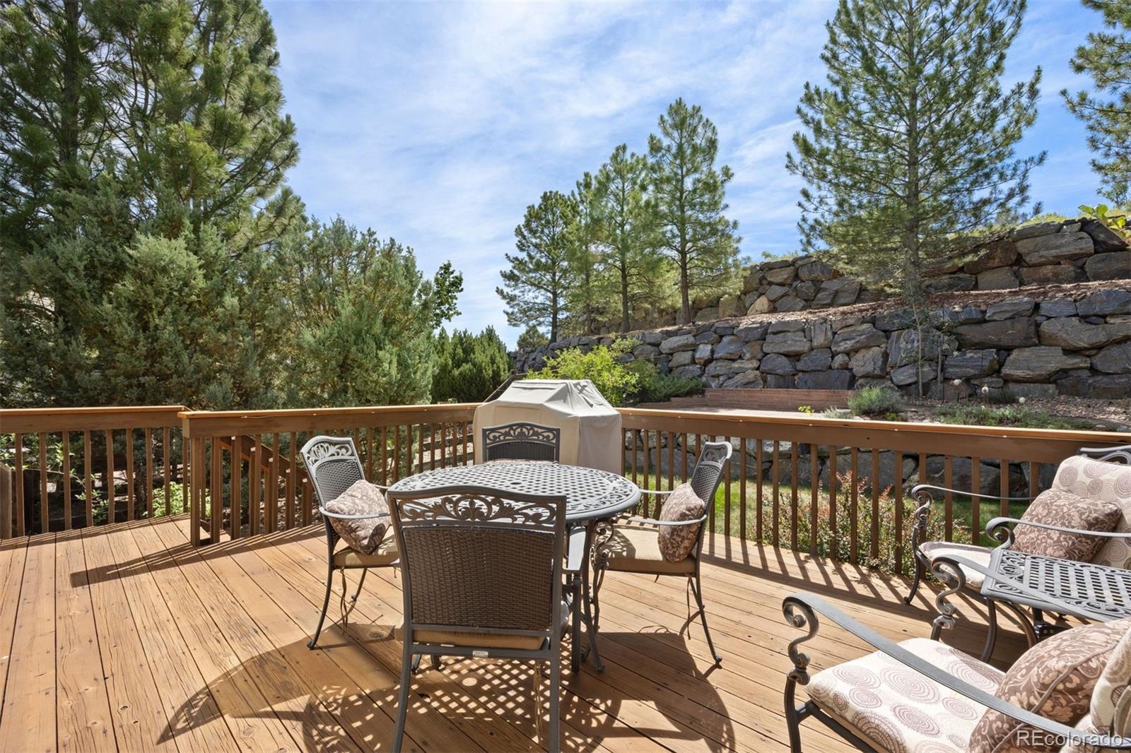 MLS Image #14 for 5704  jasper pointe circle,castle rock, Colorado