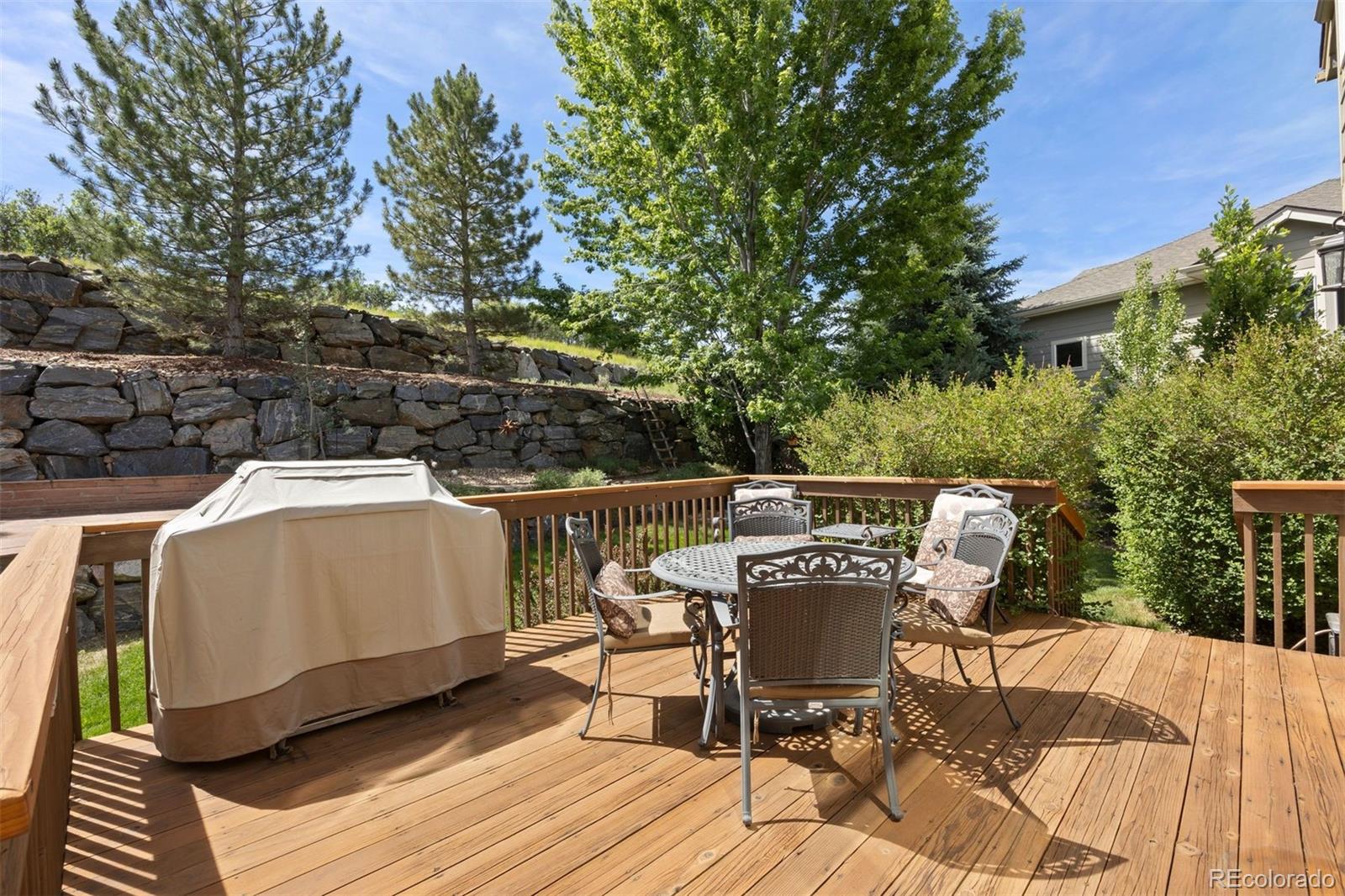 MLS Image #15 for 5704  jasper pointe circle,castle rock, Colorado
