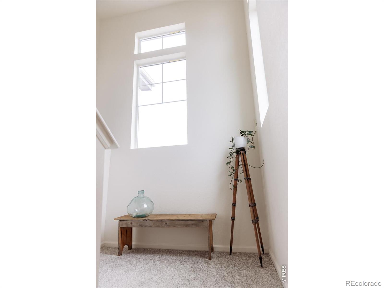 MLS Image #24 for 1050  highlands drive,erie, Colorado