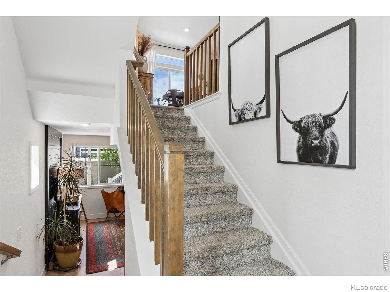 MLS Image #8 for 1050  highlands drive,erie, Colorado