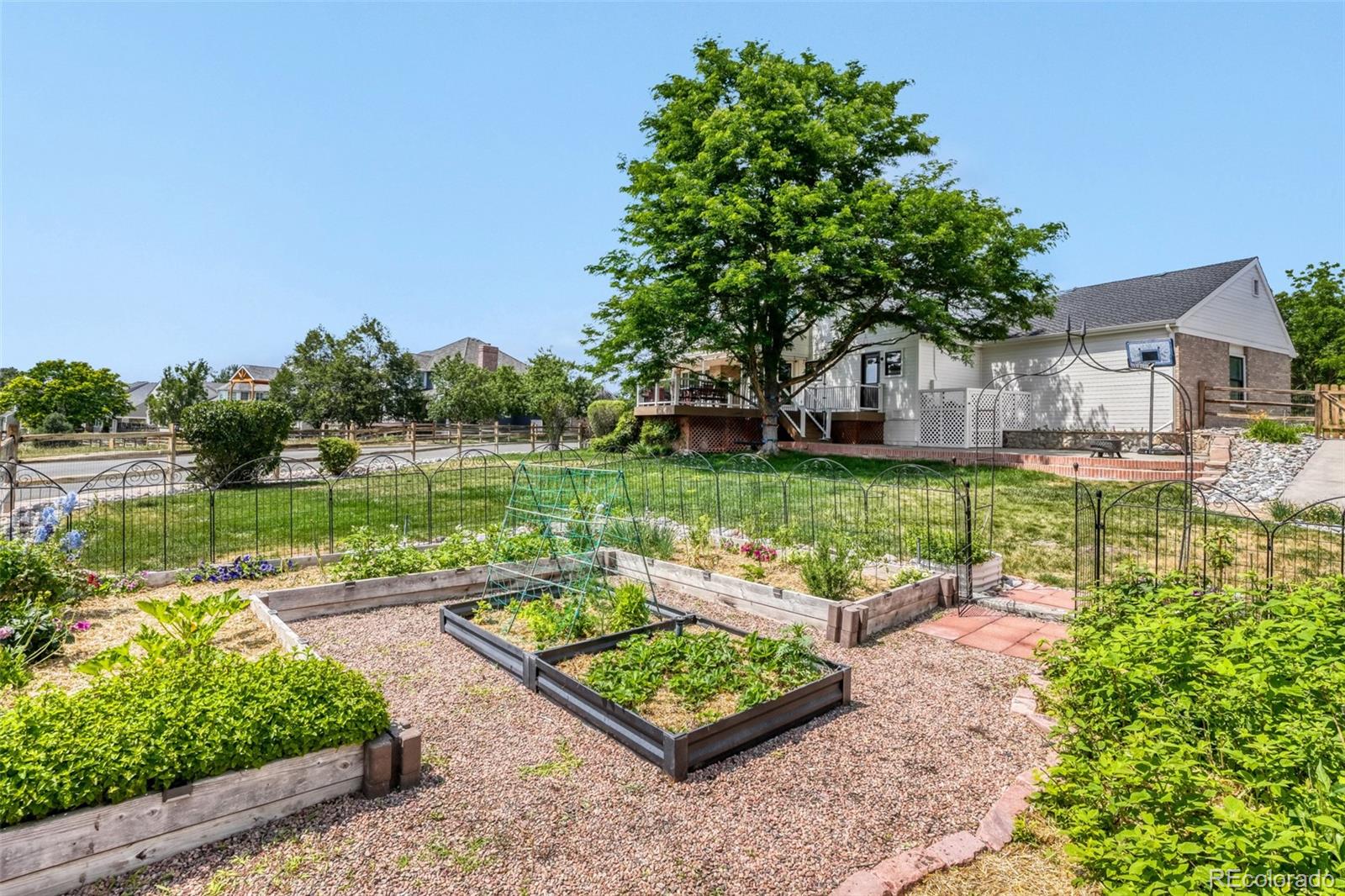 MLS Image #35 for 1700  thistle ridge road,highlands ranch, Colorado