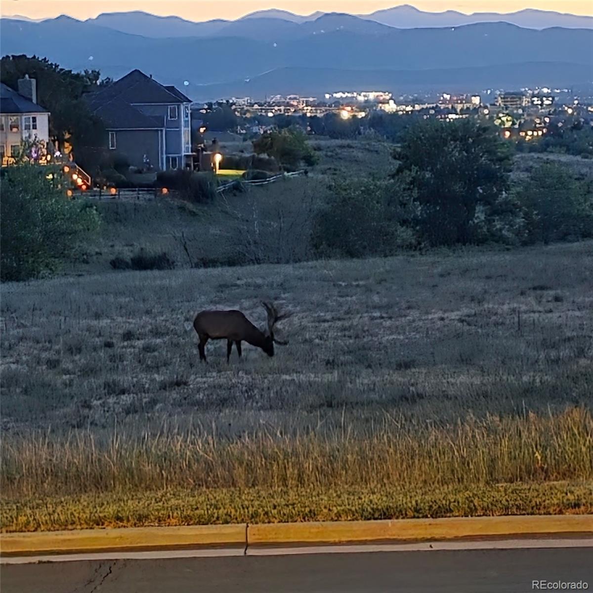 MLS Image #48 for 1700  thistle ridge road,highlands ranch, Colorado
