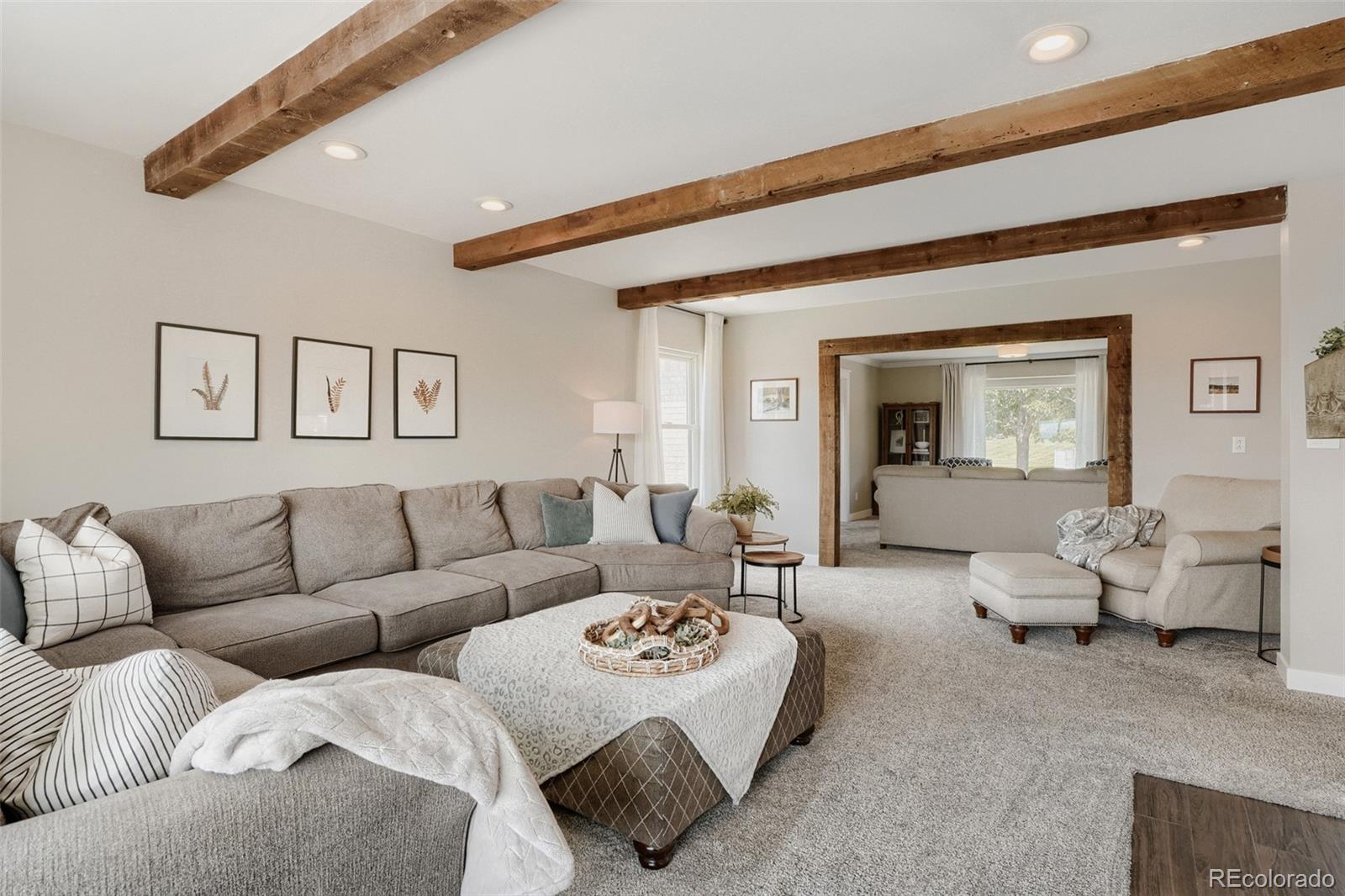 MLS Image #6 for 1700  thistle ridge road,highlands ranch, Colorado