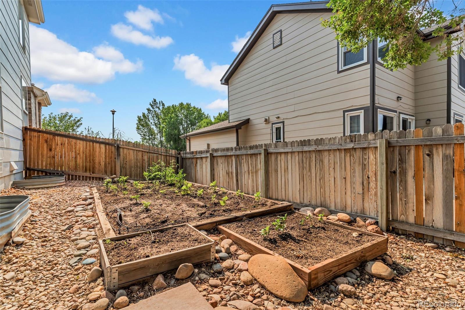 MLS Image #4 for 12615  dexter street,thornton, Colorado
